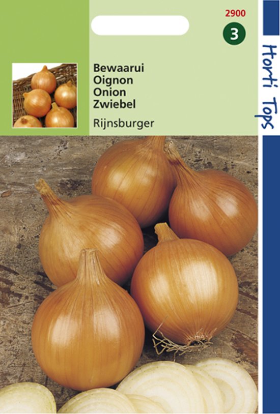 Ui Rijnsburger 5 (Allium cepa) 1000 zaden